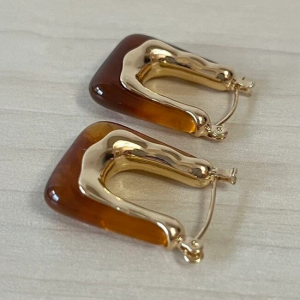 Brown Resin Hoop Earrings - Image 3