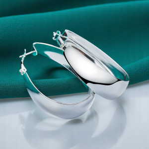 925 Silver Filled Oval Chunky Sleeper Earrings - Image 1